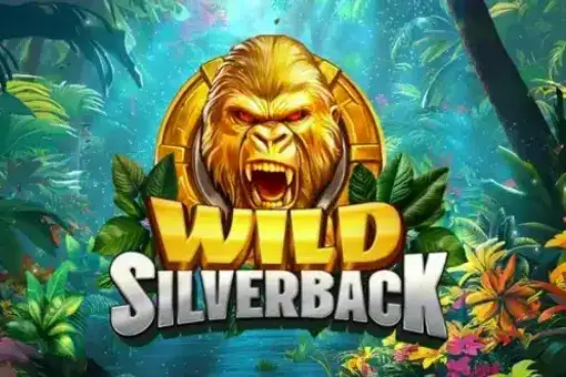 Wild Silverback